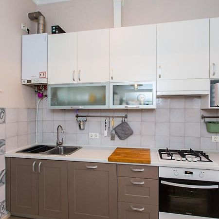 Light And Spacious Apartment On Gazova Str Lwów Zewnętrze zdjęcie